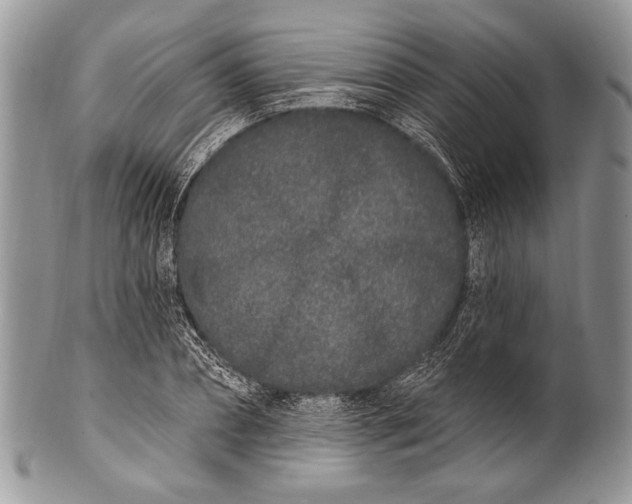 X0000100360882200806201602