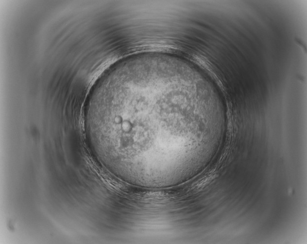 X0000100360883200806201602