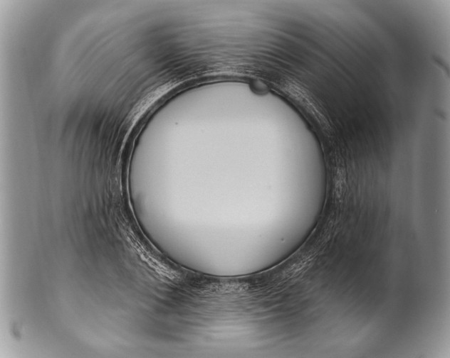 X0000100360884200806201602