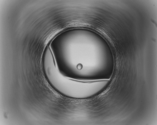 X0000100360885200806201602