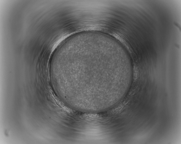 X0000100360886200806201602