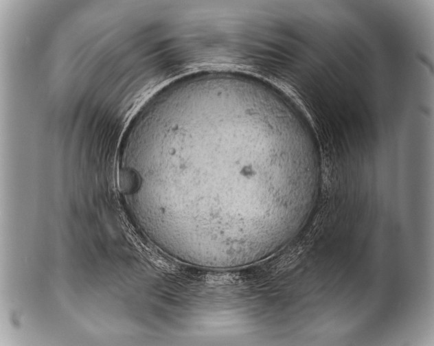 X0000100360887200806201602