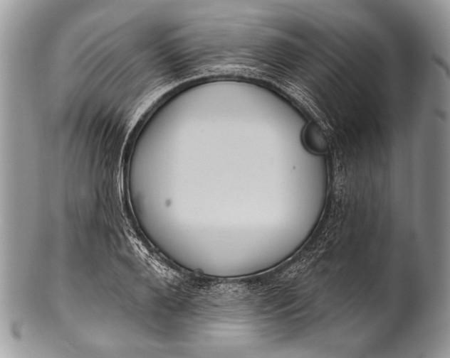 X0000100360888200806201602