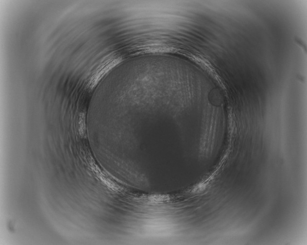 X0000100360889200806201602