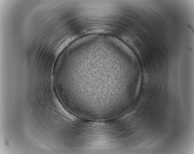 X0000100360890200806201602