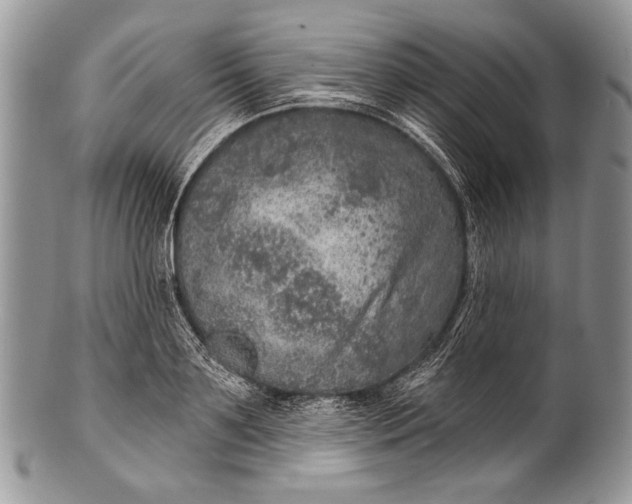 X0000100360891200806201602