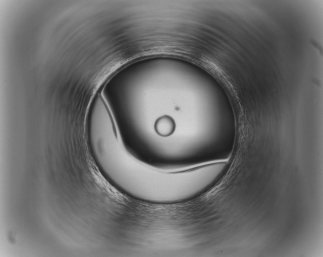 X0000100360892200806201602