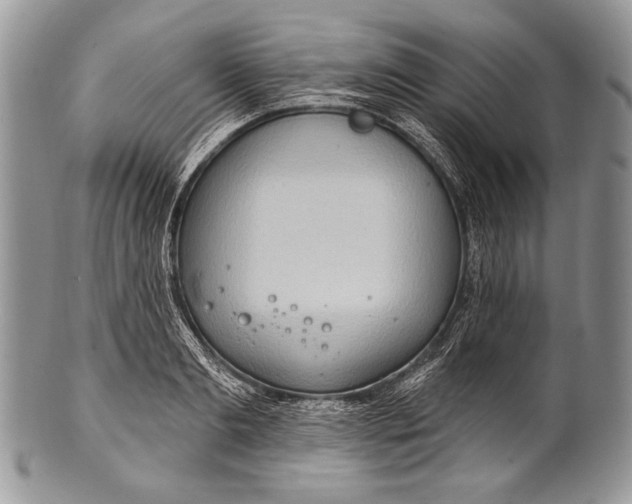 X0000100360893200806201602