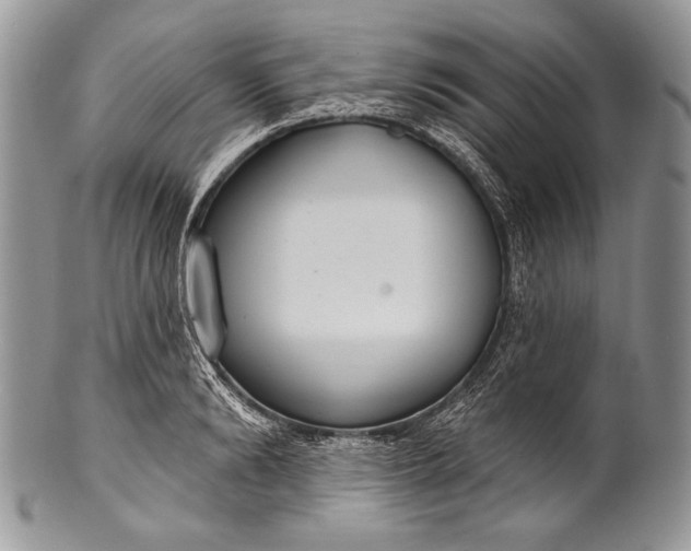 X0000100360894200806201602