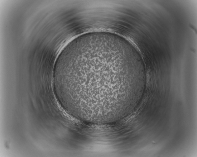 X0000100360895200806201602