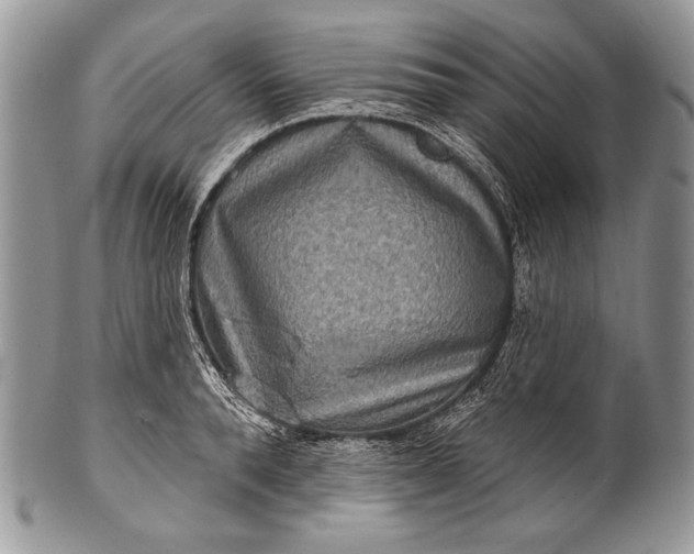 X0000100360896200806201602