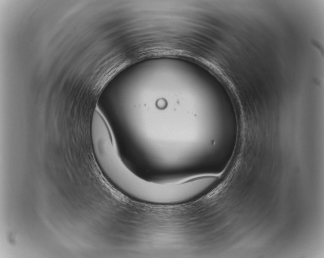 X0000100360897200806201602