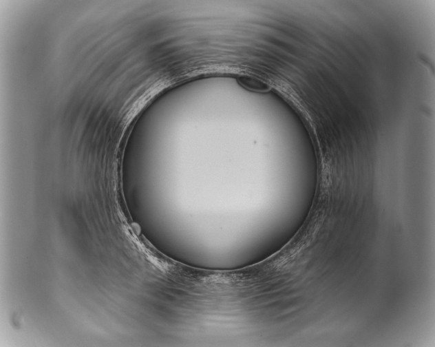 X0000100360898200806201602