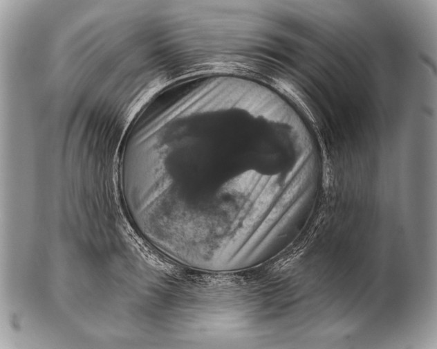 X0000100360899200806201602