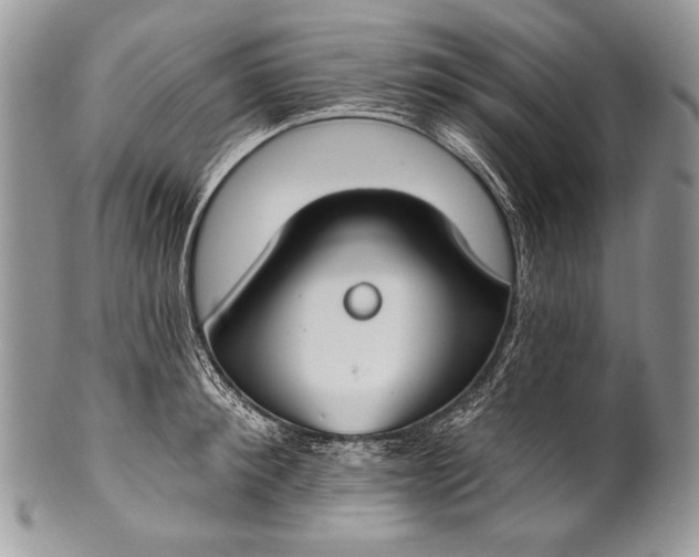 X0000100360900200806201602