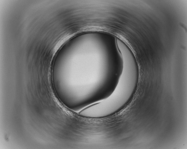 X0000100360901200806201602