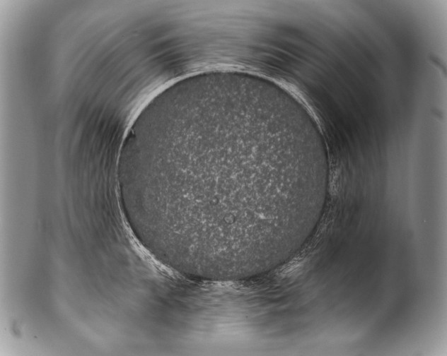 X0000100360903200806201602