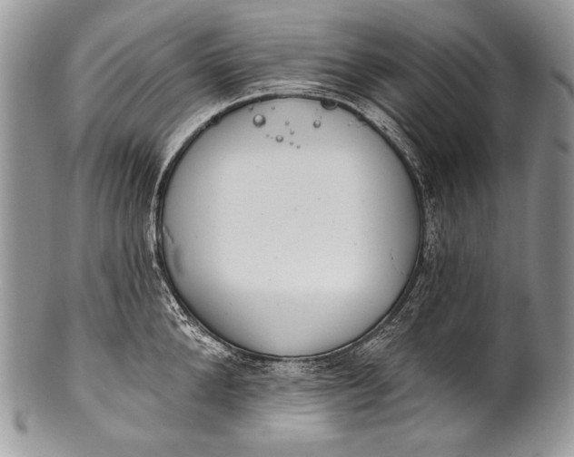 X0000100360904200806201602