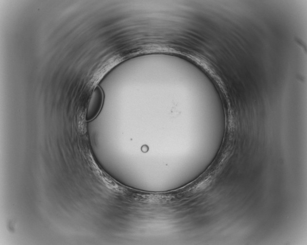 X0000100360905200806201601