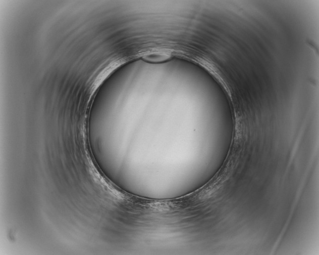 X0000100360906200806201601