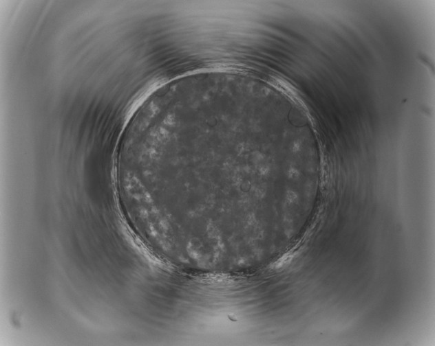 X0000100360907200806201601