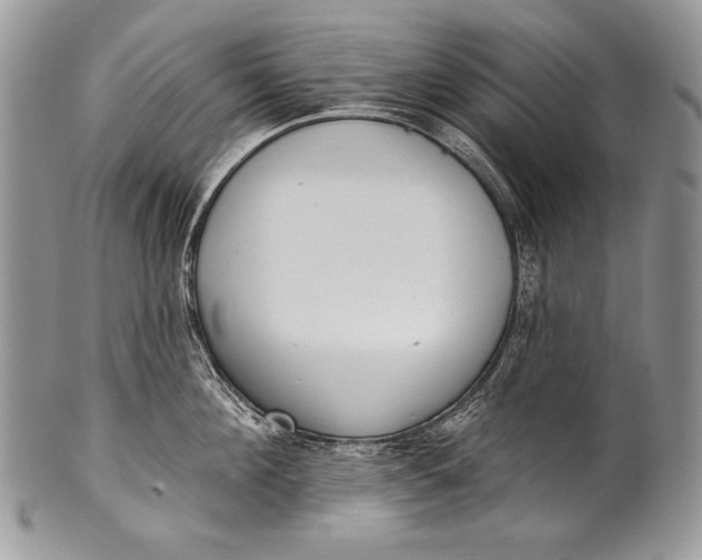 X0000100360908200806201601