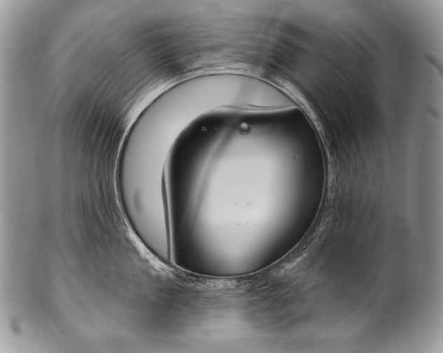 X0000100360909200806201601