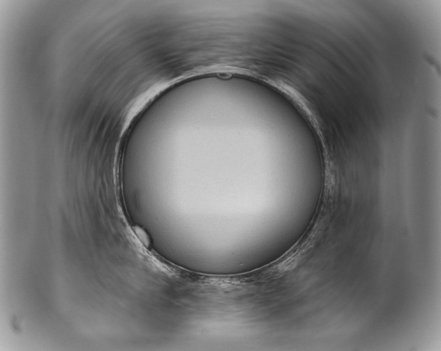 X0000100360910200806201601