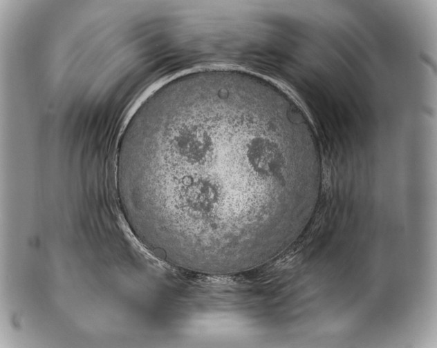 X0000100360911200806201601