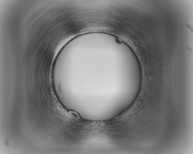 X0000100360912200806201601