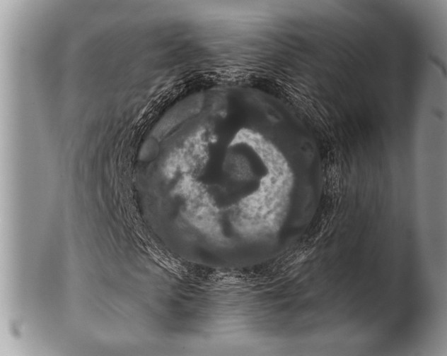 X0000100360913200806201601