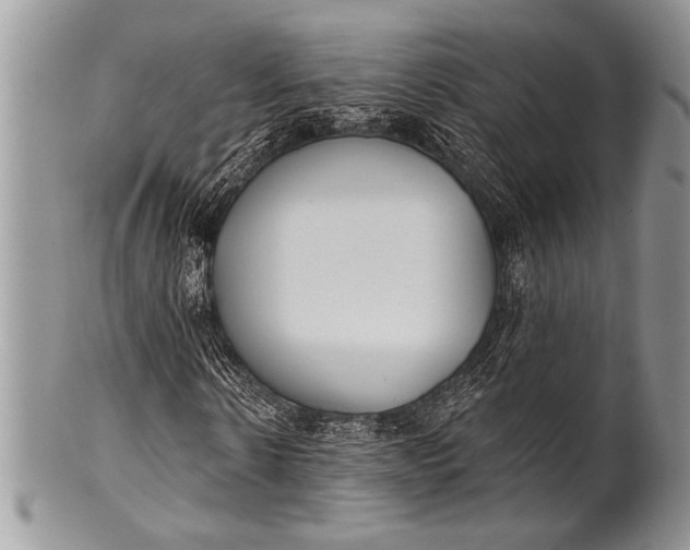 X0000100360914200806201601