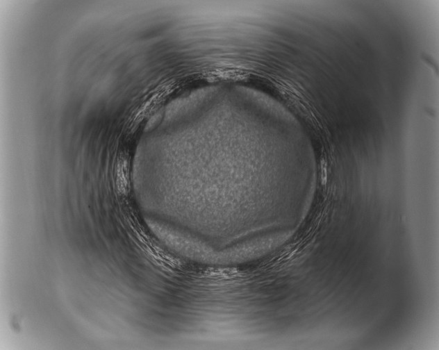 X0000100360915200806201601