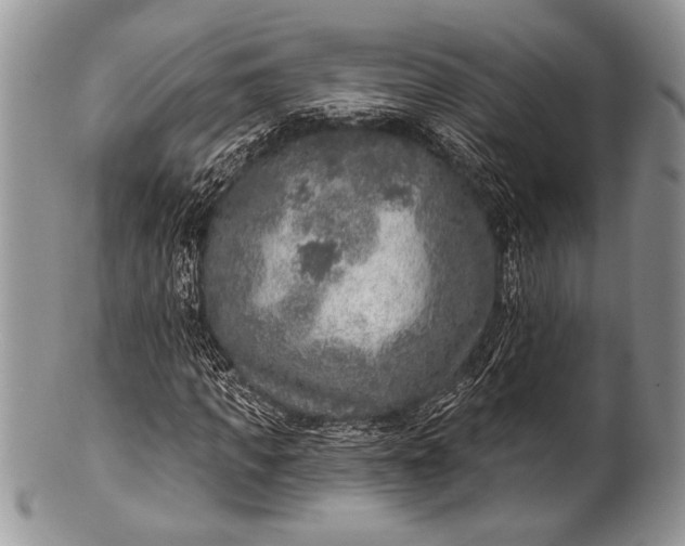 X0000100360917200806201601