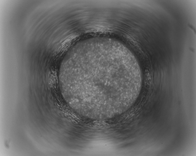 X0000100360918200806201601