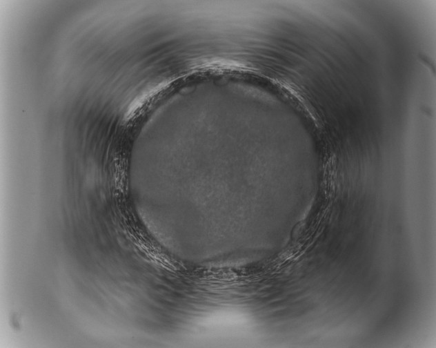 X0000100360919200806201601