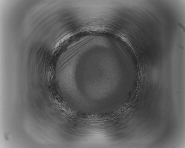 X0000100360920200806201601