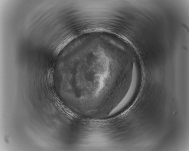 X0000100360921200806201601