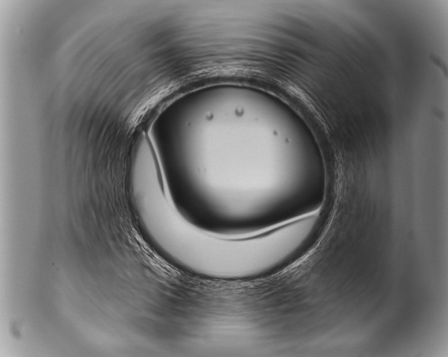 X0000100360922200806201601