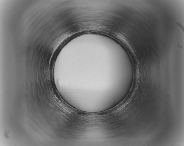 X0000100360924200806201601