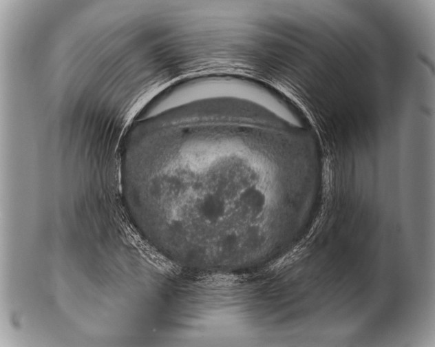 X0000100360925200806201601