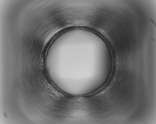 X0000100360926200806201601