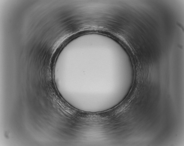 X0000100360927200806201601