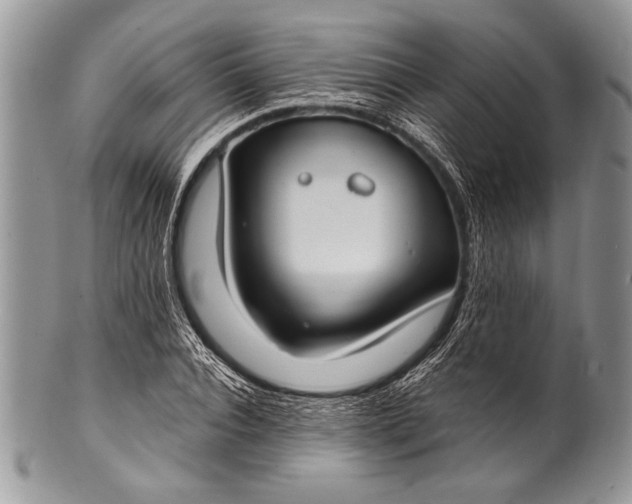 X0000100360928200806201601