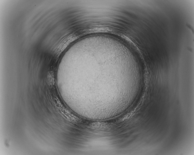 X0000100360929200806201601