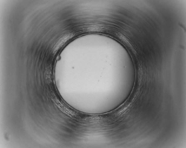 X0000100360930200806201601