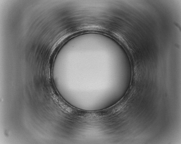 X0000100360931200806201601