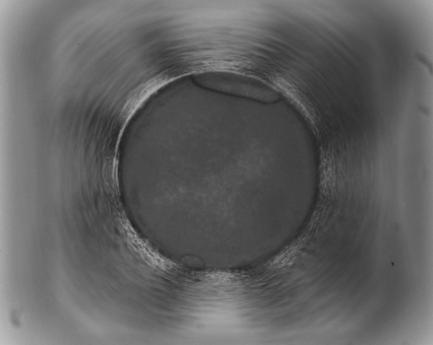 X0000100360932200806201601