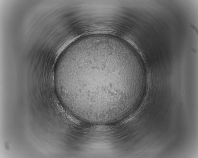 X0000100360933200806201601