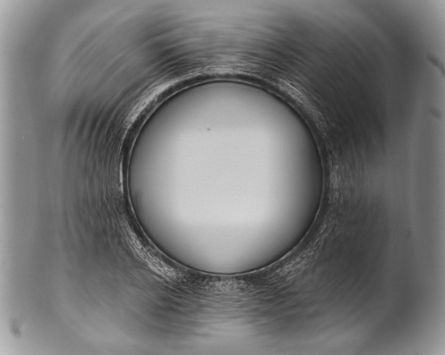 X0000100360934200806201601